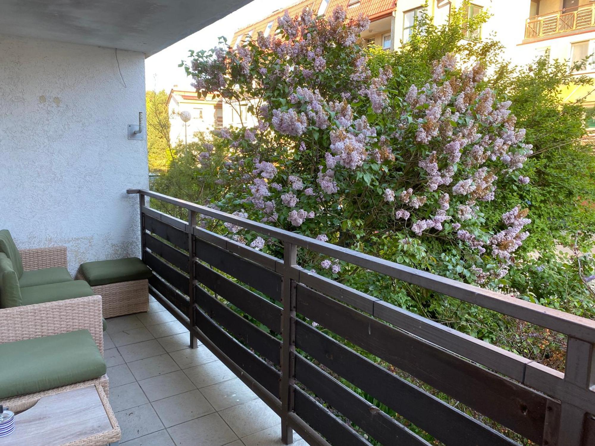 Lesne Apartamenty - Apartament Szary Hel Bagian luar foto